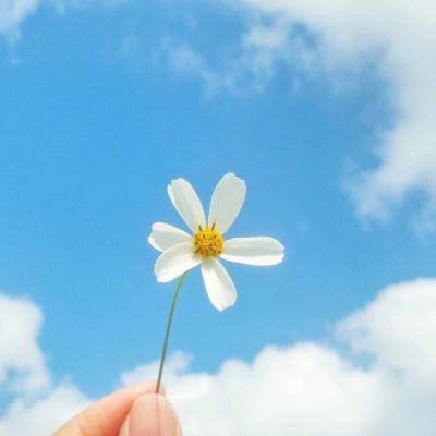 百度热血封神传手游下载