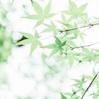 三国志群雄争霸手游(暂未上线)v1.0 安卓最新版