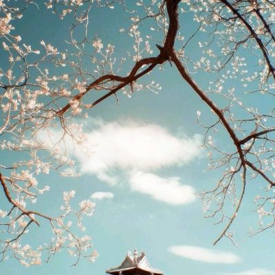 华夏火龙最新版